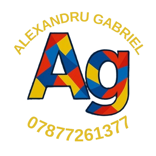 programare alexandru